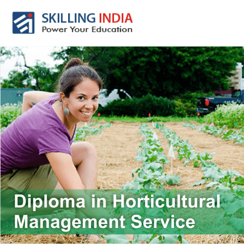 Diploma in Horticultural Management Service