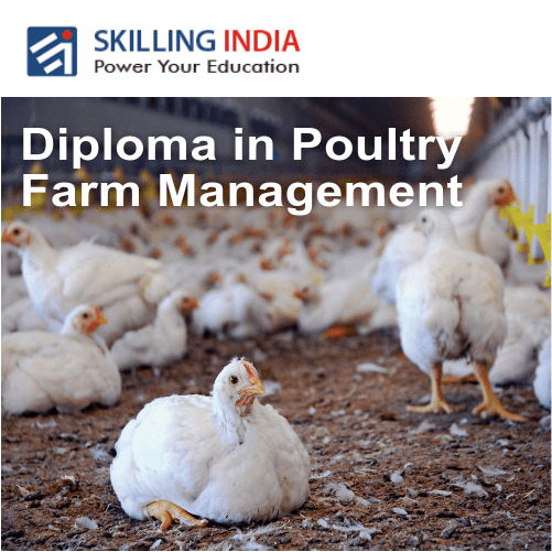 Diploma in Poultry Farm Management