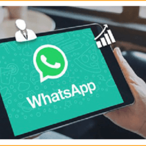 What'sApp Marketing Hero
